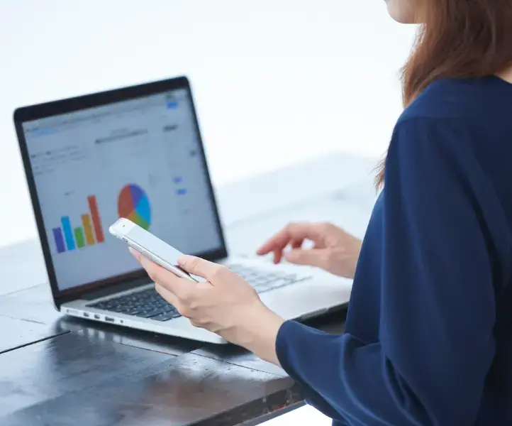 E-commerce B2B sistema integrado