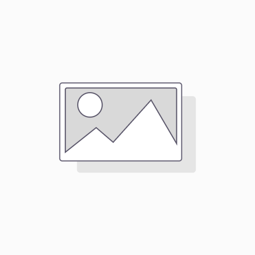 Configuração DNS Personalizado
